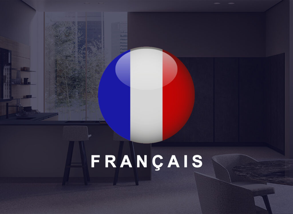 🇫🇷 Français